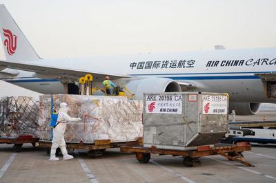 浦東機(jī)場一日破300架次 冷鏈貨運(yùn)高峰背后的進(jìn)出口代理新挑戰(zhàn)